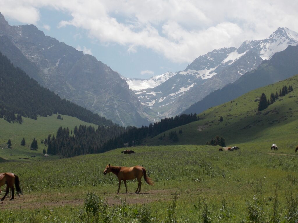 Жумгал айыл өкмөтүнүн веб сайты түзүлдү